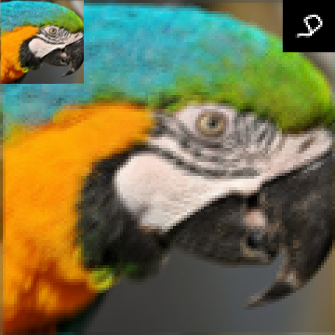 parrot_x4_k12_LR.png