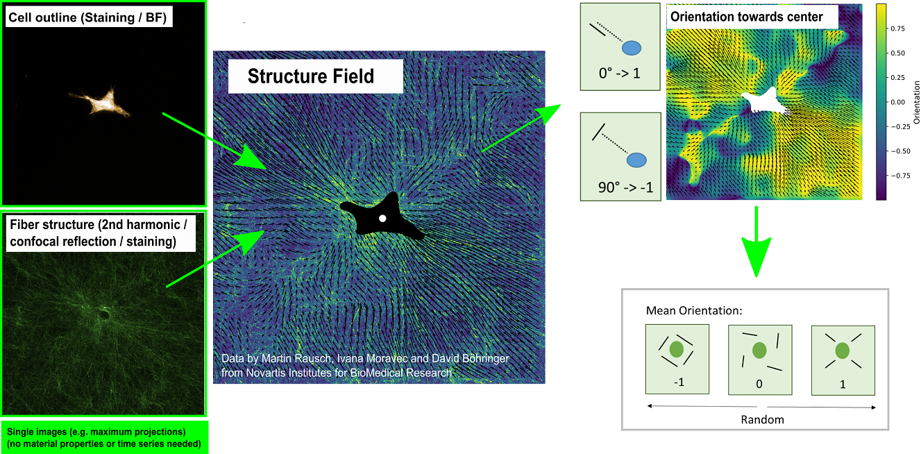 Fig1-rawtostructure.png