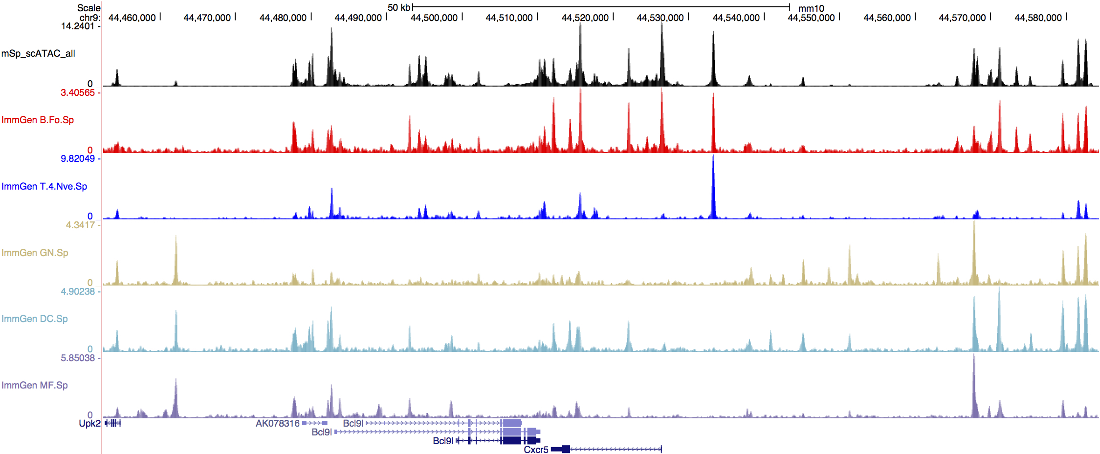 ucsc_example_cxcr5_locus.jpg