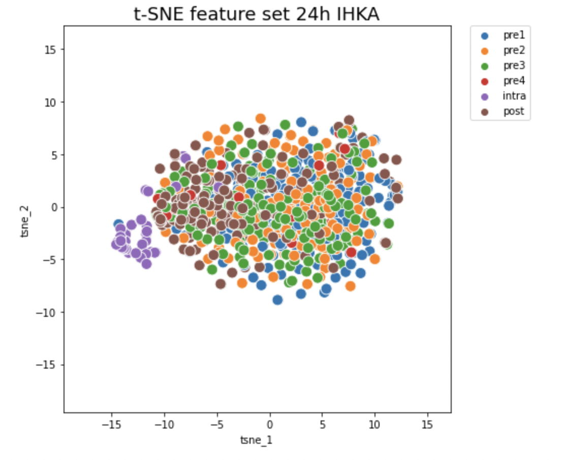 t-SNE_feature_set_24h_IHKA.png