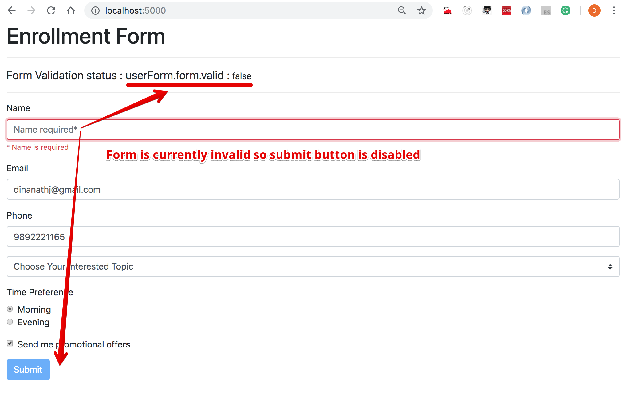 11-01-02-form-userform-invalid.png