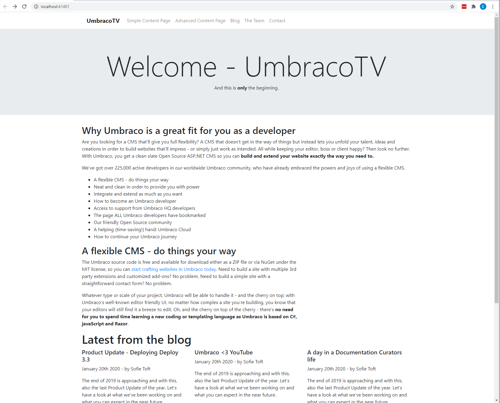 figure-16-unstyled-homepage-v8.png