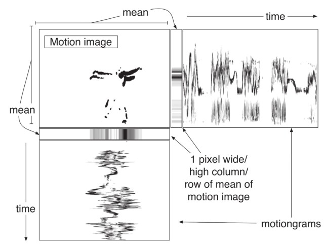 Sketch of the calculation of a motiongram.