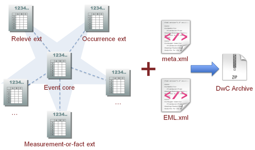 The components of a Darwin Core Archive.