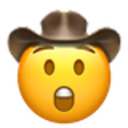 astonished_cowboy.png