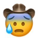 cold_sweat_cowboy.png