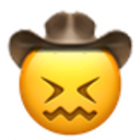 confounded_cowboy.png