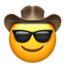 cool_cowboy.png