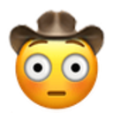 flushed_cowboy.png