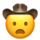 frowning_cowboy.png