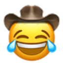 joy_cowboy.png