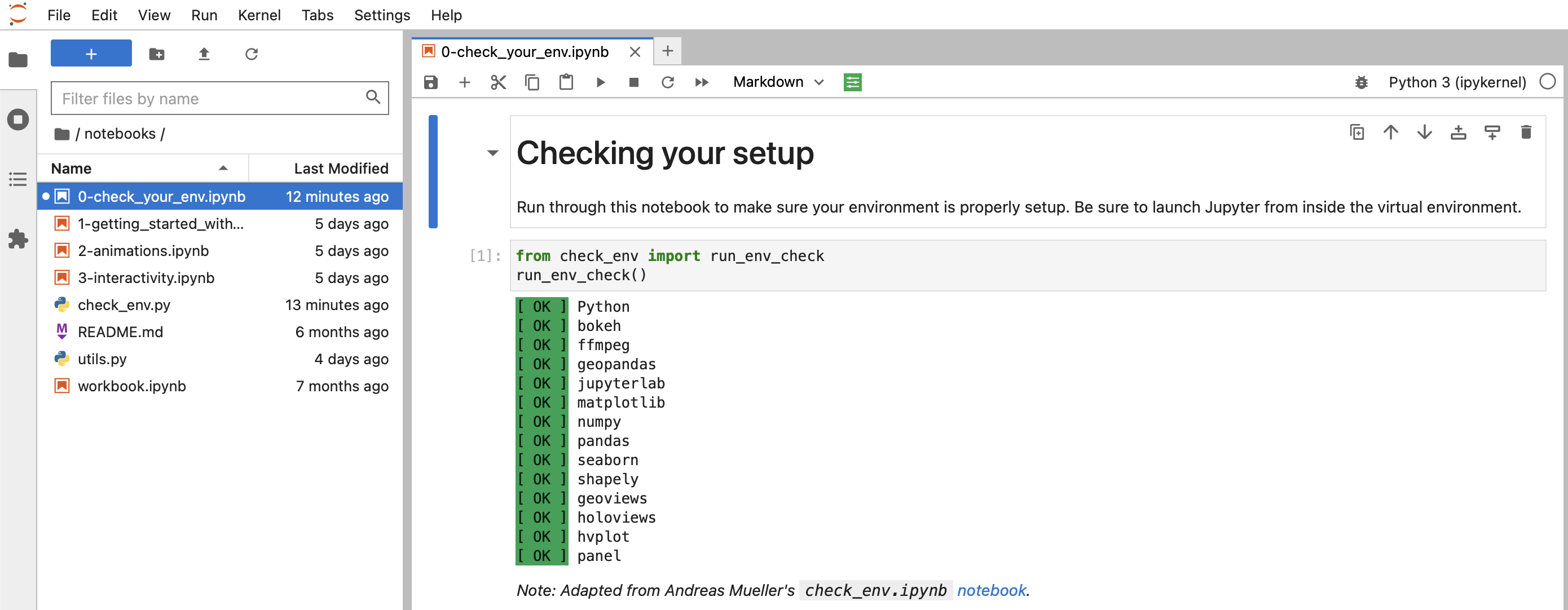 open_env_check_notebook.png