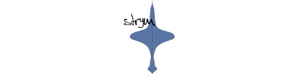 strym.png