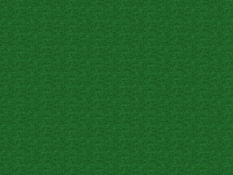 grass_bg.png