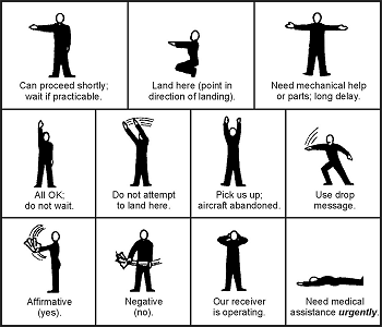 Figure 19-7. Body Signals