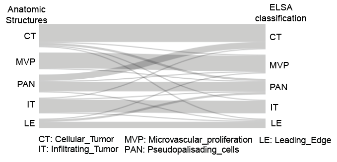 IVY_classification_sankey.png