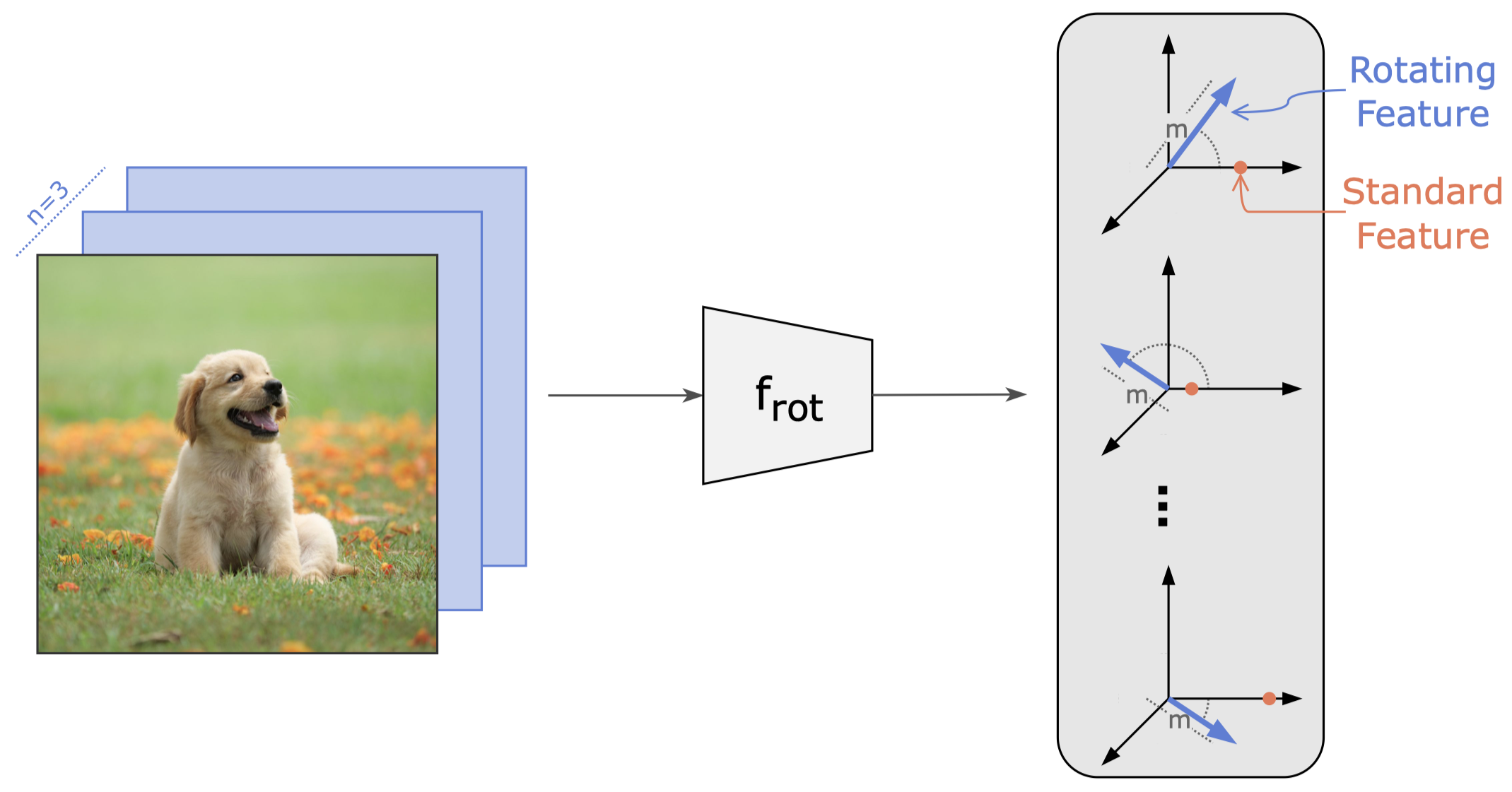 Graphical Abstract