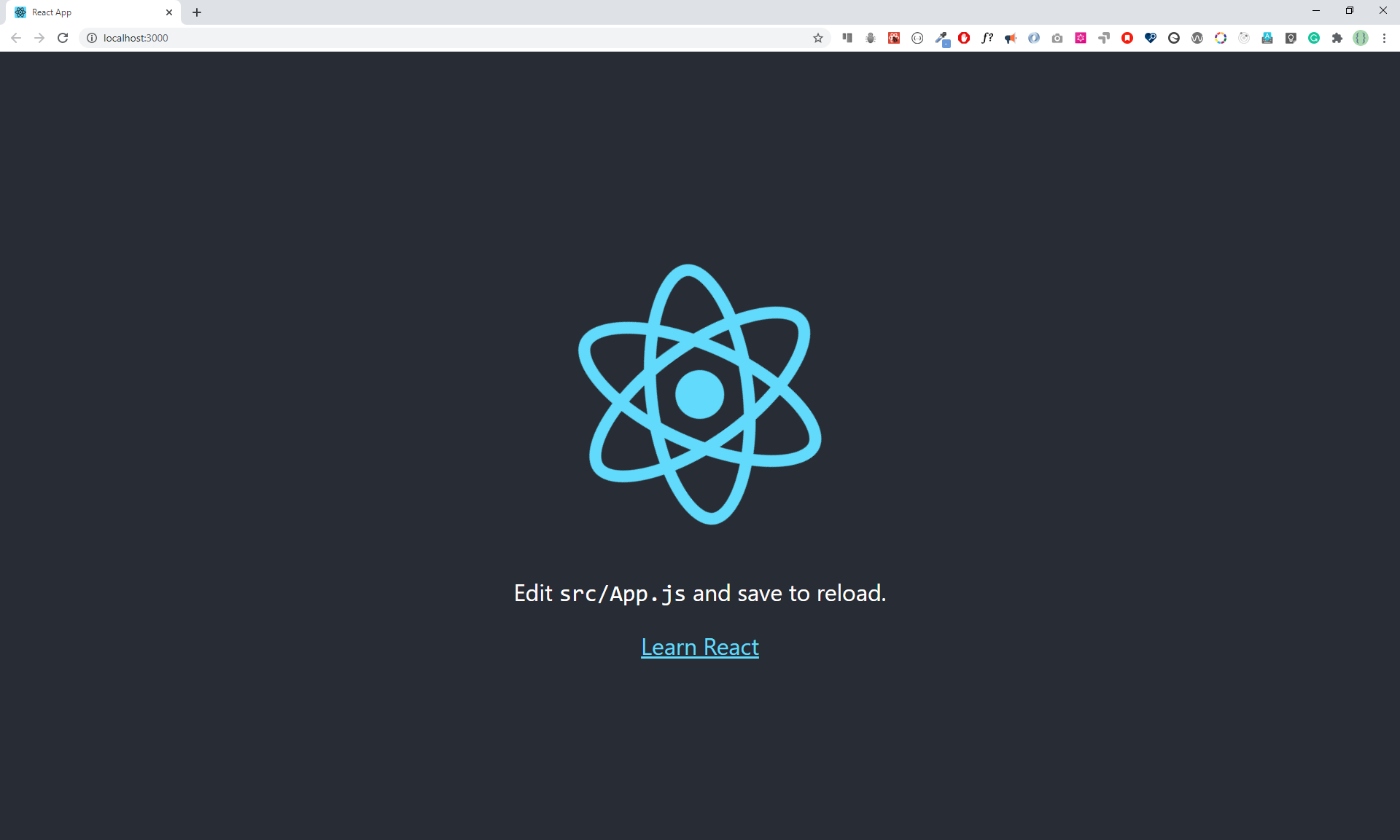 react_app_starting.png