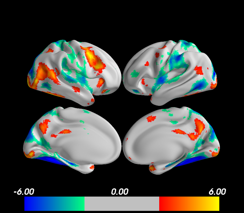 lateral_split_face_gt_object.png