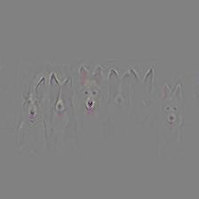 multiple_dogs-resnet101-cam_gb.jpg