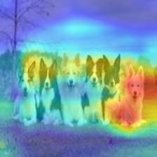 multiple_dogs-vgg19-cam++.jpg