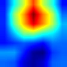 pic1-densenet121-heatmap++.jpg