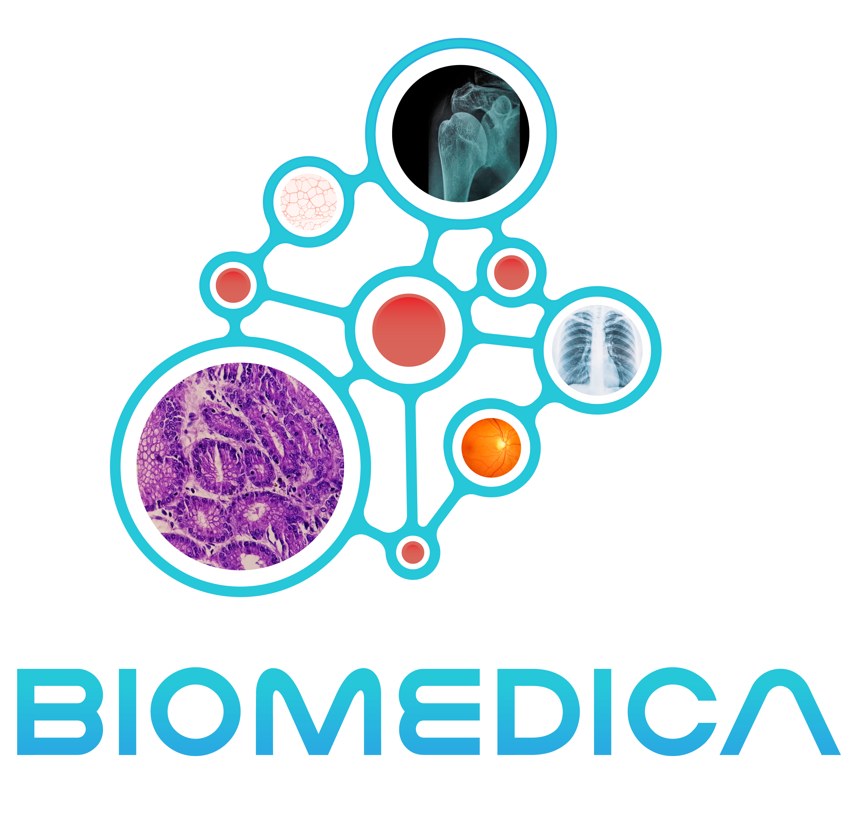 Biomedica-Isologo-sin-espacio-2025.png