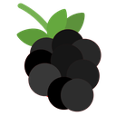 blackberry.png