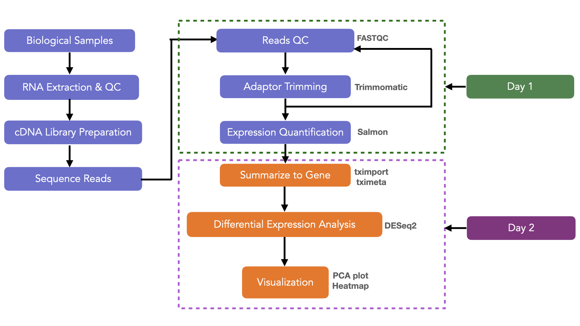 rna-seq-workflow-workshop.jpeg