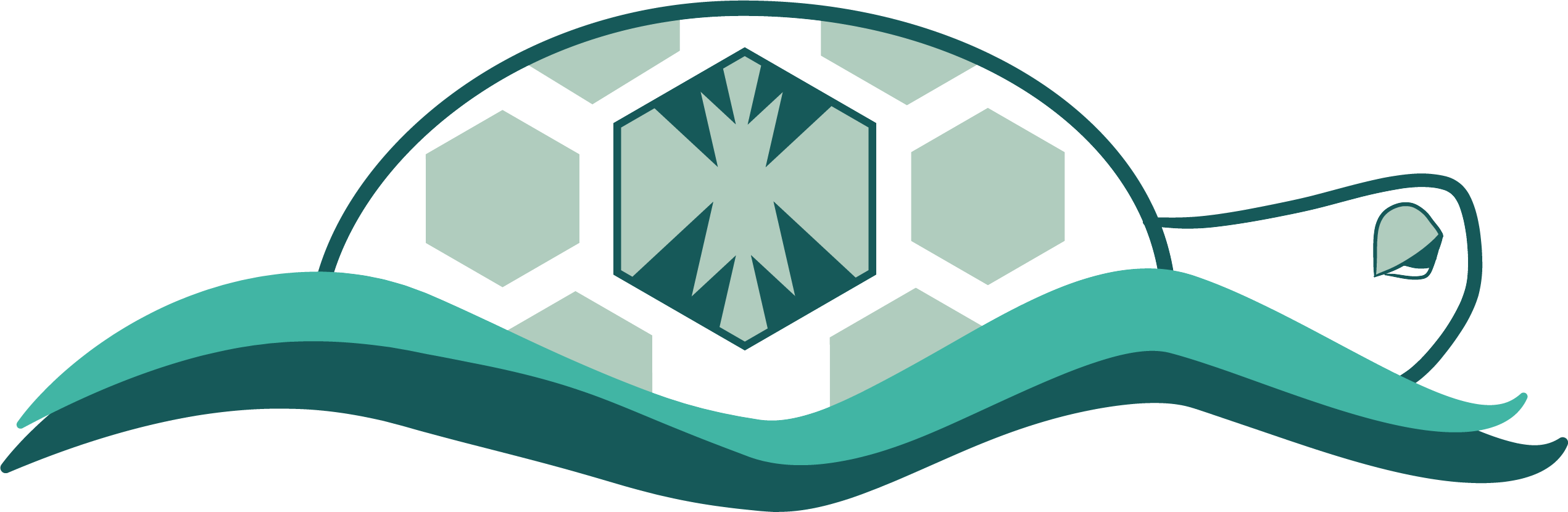 caretta_logo.png