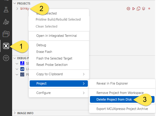 Delete Project from Disk