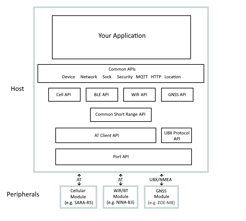 apis.jpg