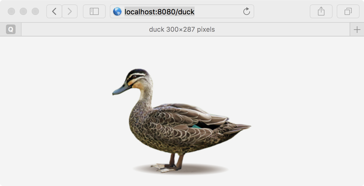 duck.png