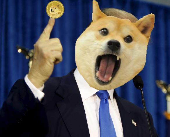 doge.jpg