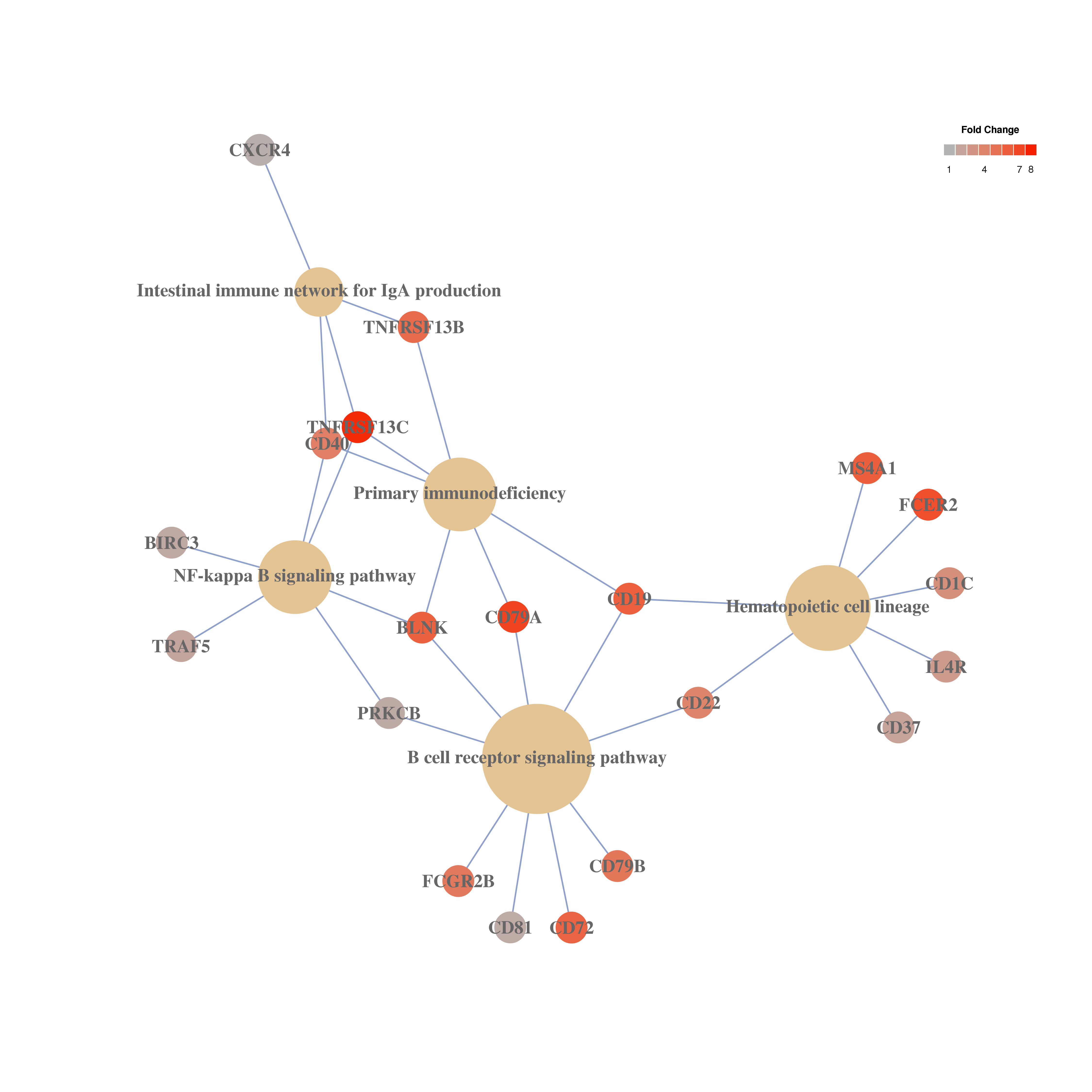 7_cluster_KEGGpathways.png