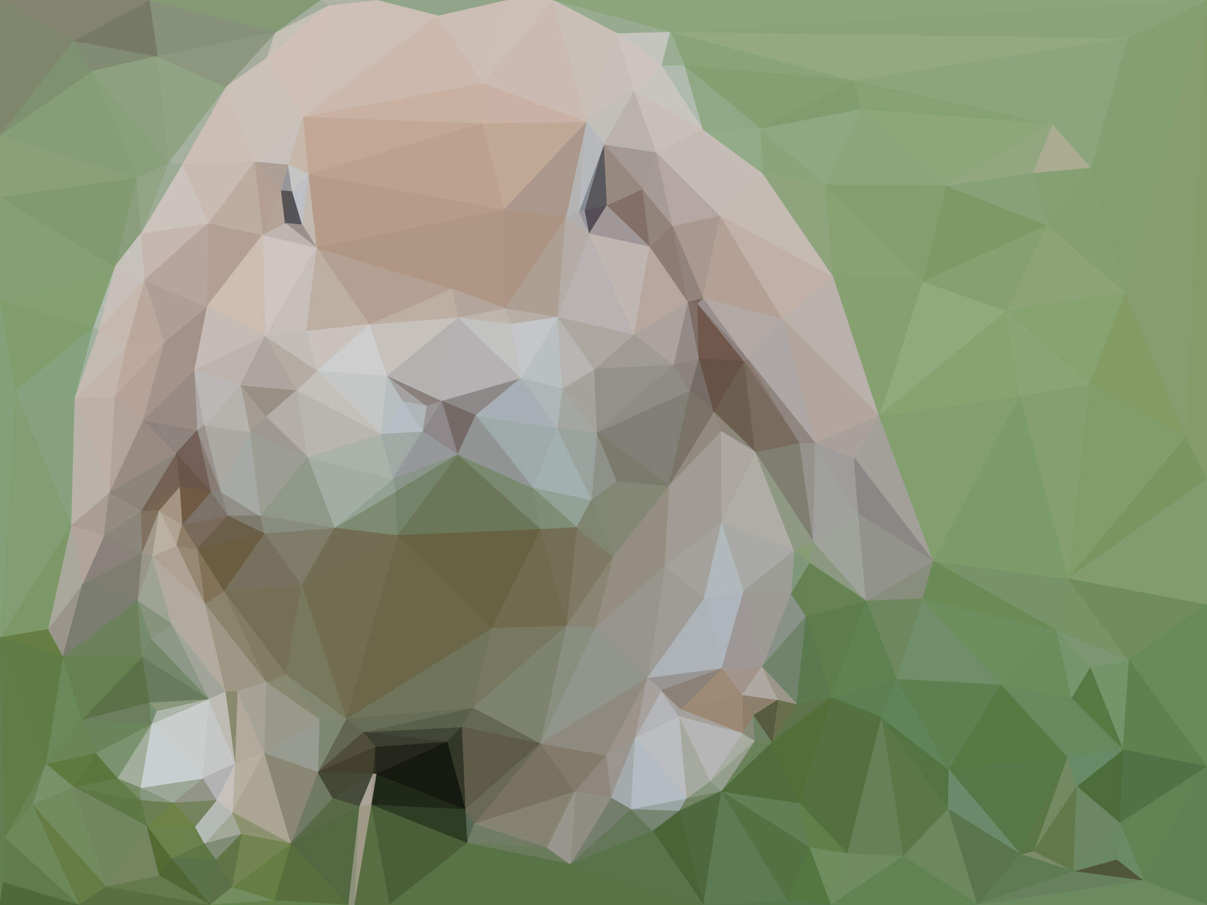 bunny.png