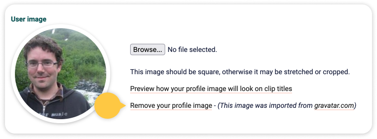 profile image settings