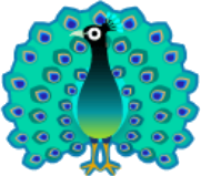 peacock.png