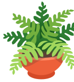 plant.png