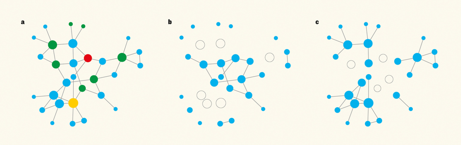 Kovacs_and_Barabasi_graph.jpg