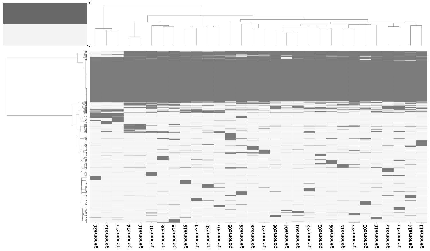 pangenome_clustermap.png