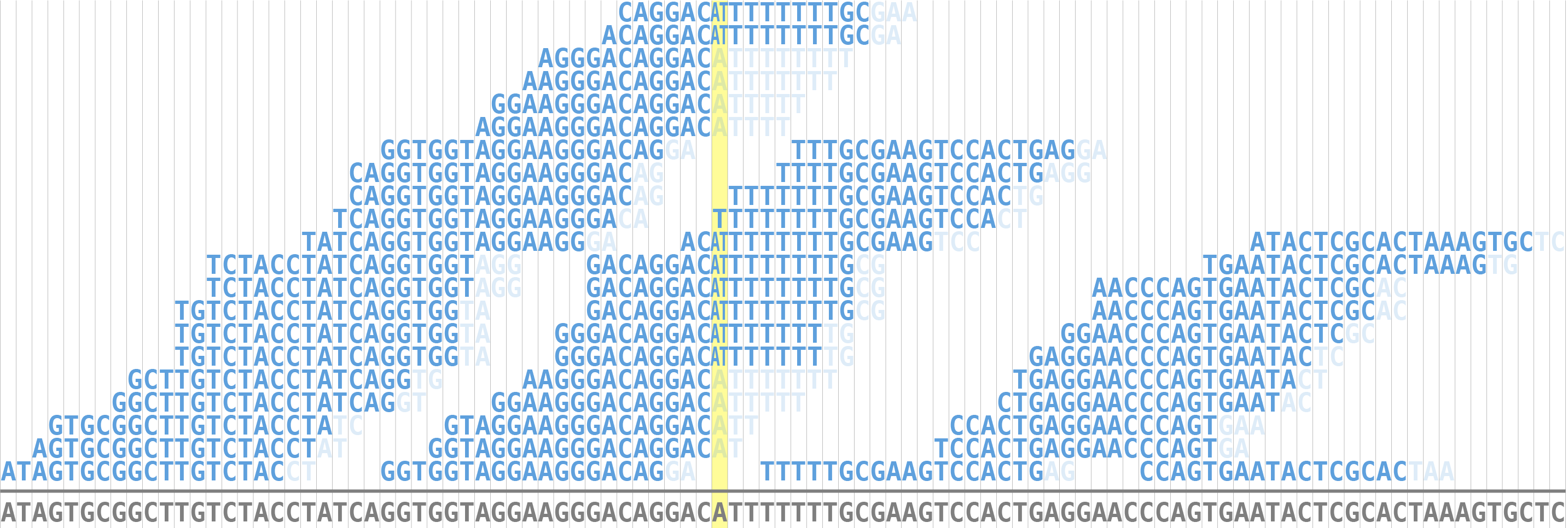 alignments with trimming