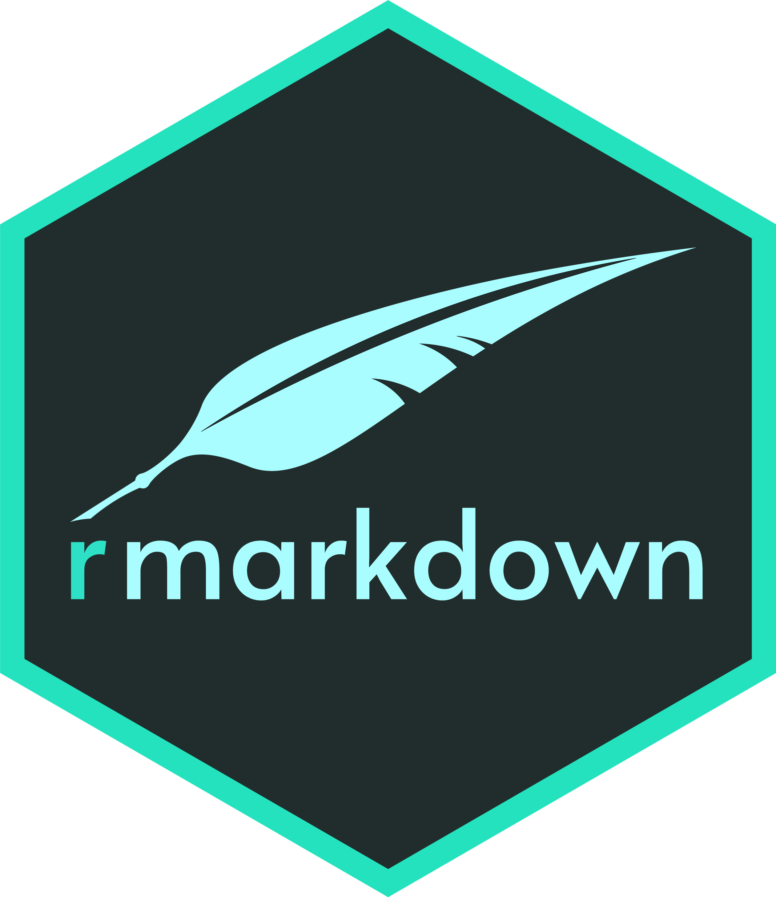 rmarkdown.png