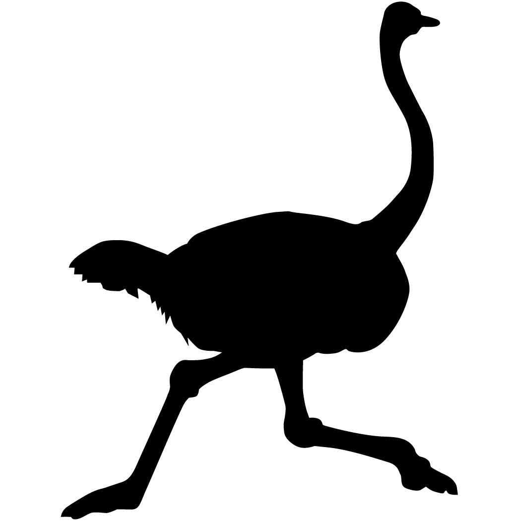 nostr_logo_blk_lg.png