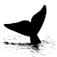 icon-001-rightwhale-64x64.png