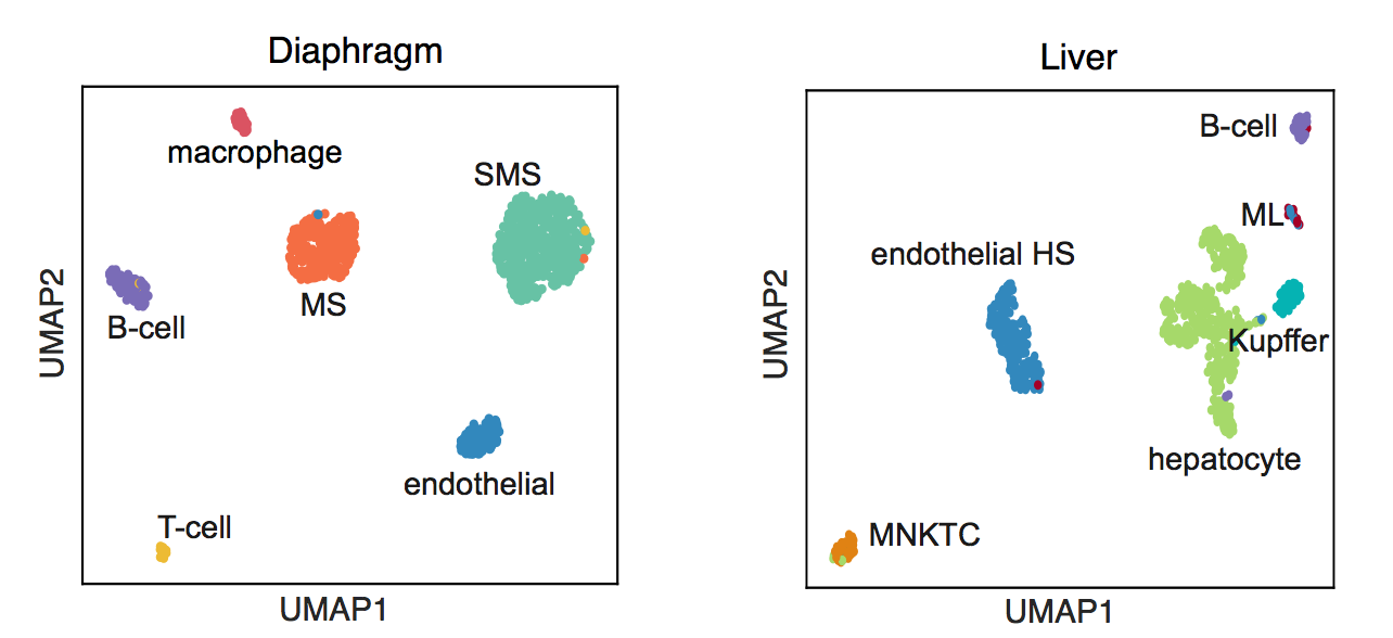 MARS_embeddings.png