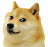 doge.png