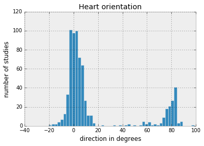 heart_orientation.png