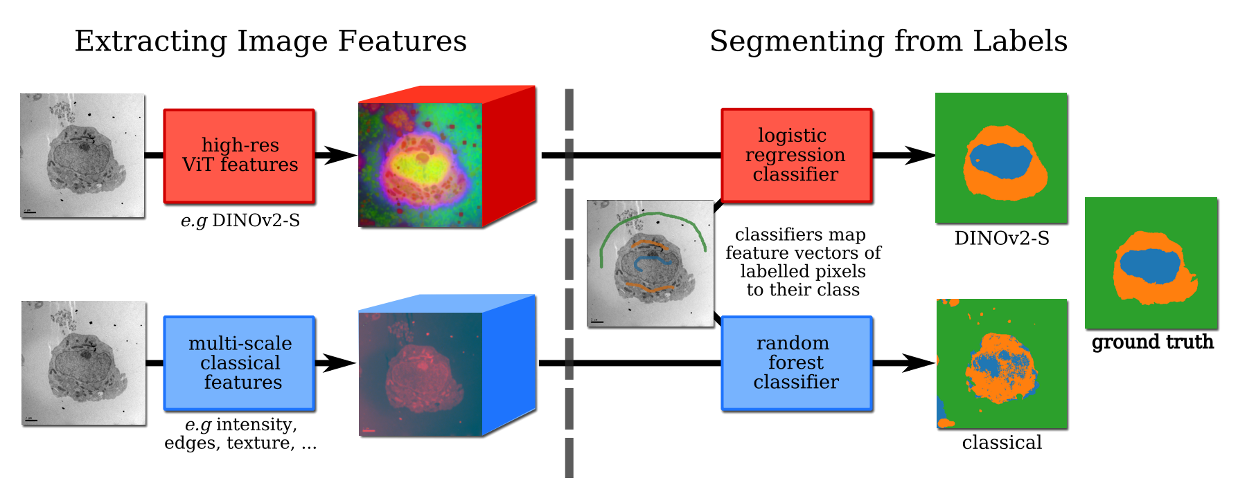 wss_workflow_cell.png