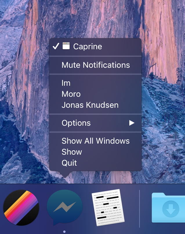 screenshot-dock-menu.png